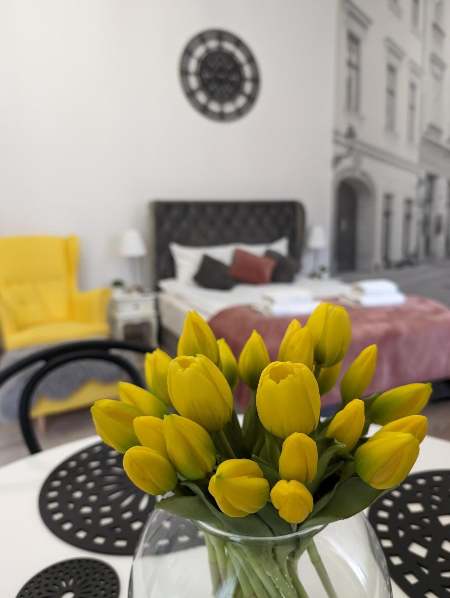 Zamstudio Zamenhofa 4 * Krakau